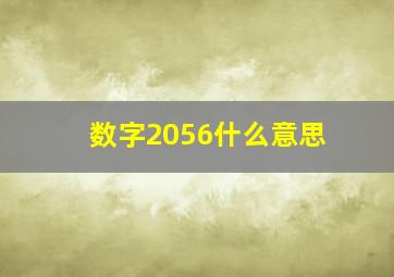 数字2056什么意思