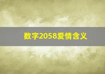 数字2058爱情含义