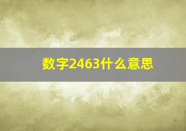 数字2463什么意思