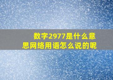 数字2977是什么意思网络用语怎么说的呢