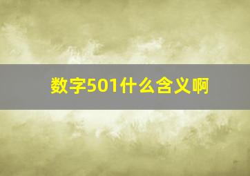 数字501什么含义啊