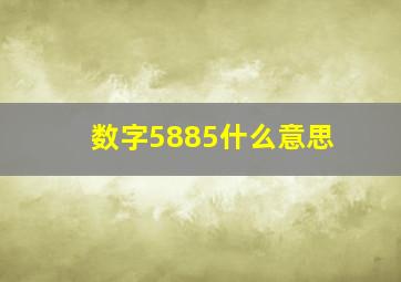 数字5885什么意思