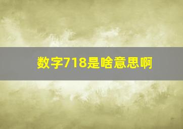 数字718是啥意思啊