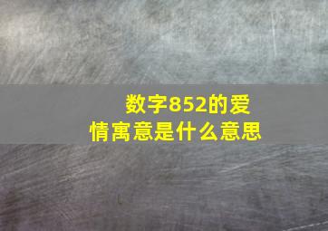 数字852的爱情寓意是什么意思