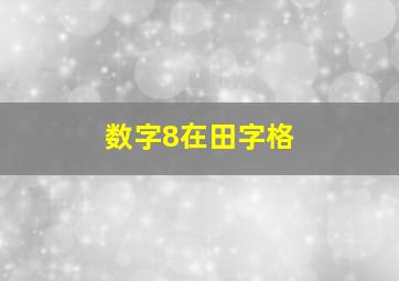 数字8在田字格