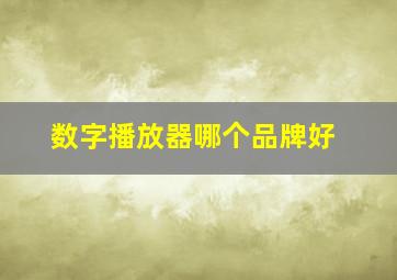 数字播放器哪个品牌好