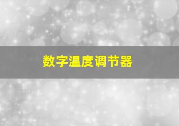 数字温度调节器