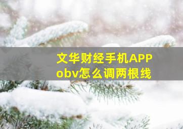 文华财经手机APPobv怎么调两根线