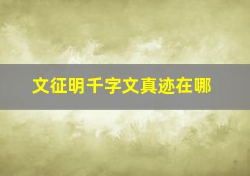 文征明千字文真迹在哪