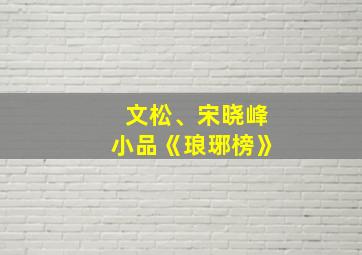 文松、宋晓峰小品《琅琊榜》