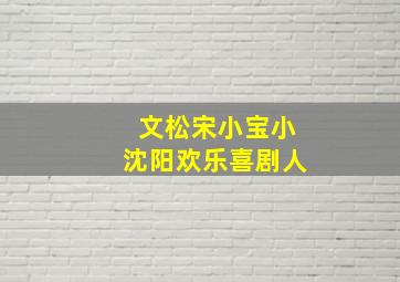 文松宋小宝小沈阳欢乐喜剧人