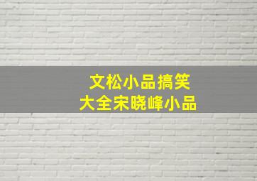 文松小品搞笑大全宋晓峰小品