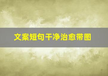 文案短句干净治愈带图