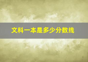 文科一本是多少分数线