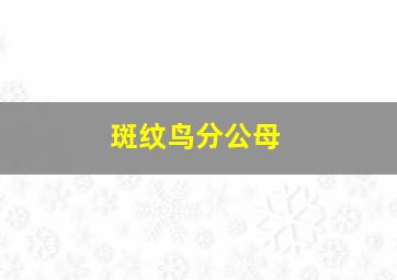 斑纹鸟分公母