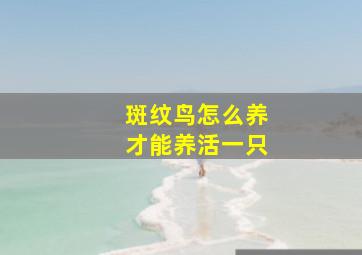 斑纹鸟怎么养才能养活一只