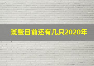 斑鳖目前还有几只2020年