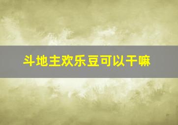 斗地主欢乐豆可以干嘛