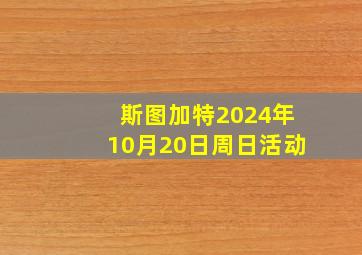 斯图加特2024年10月20日周日活动