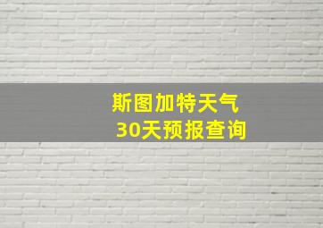 斯图加特天气30天预报查询