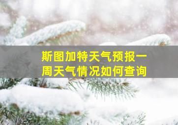 斯图加特天气预报一周天气情况如何查询