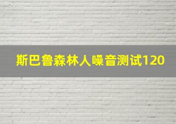 斯巴鲁森林人噪音测试120