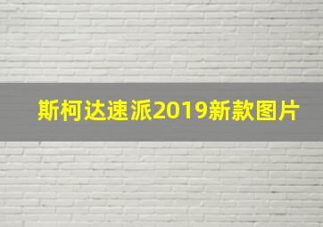 斯柯达速派2019新款图片