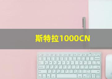 斯特拉1000CN