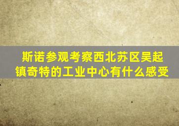 斯诺参观考察西北苏区吴起镇奇特的工业中心有什么感受