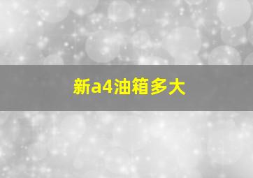 新a4油箱多大