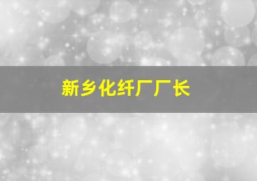 新乡化纤厂厂长