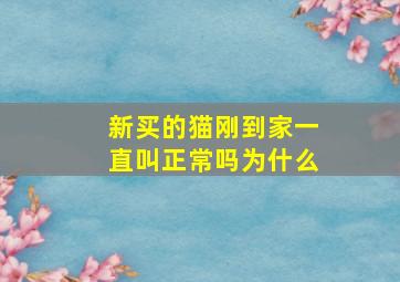 新买的猫刚到家一直叫正常吗为什么