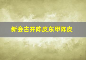 新会古井陈皮东甲陈皮