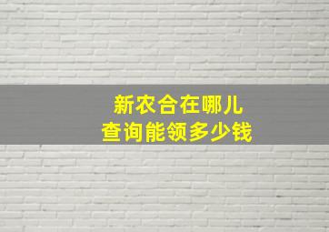 新农合在哪儿查询能领多少钱