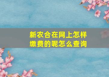 新农合在网上怎样缴费的呢怎么查询