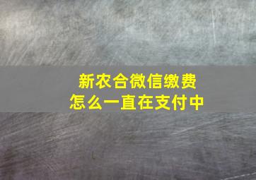 新农合微信缴费怎么一直在支付中