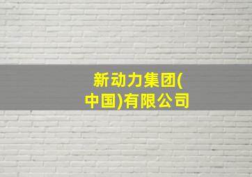 新动力集团(中国)有限公司