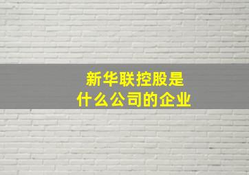 新华联控股是什么公司的企业