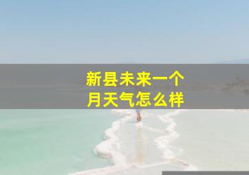 新县未来一个月天气怎么样