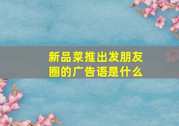 新品菜推出发朋友圈的广告语是什么