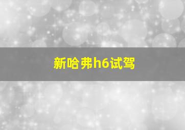 新哈弗h6试驾