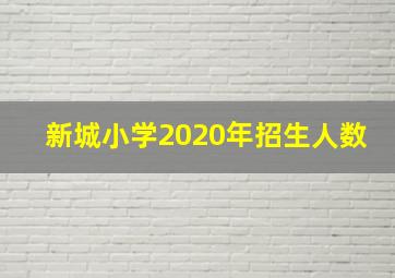 新城小学2020年招生人数