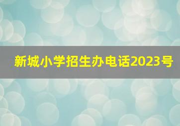 新城小学招生办电话2023号