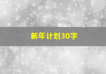 新年计划30字