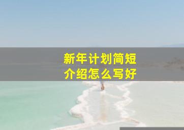 新年计划简短介绍怎么写好