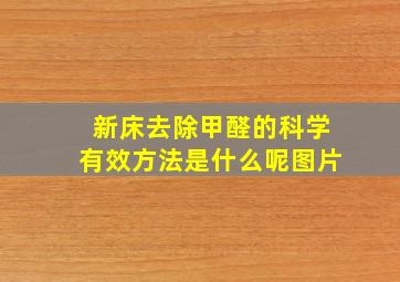 新床去除甲醛的科学有效方法是什么呢图片