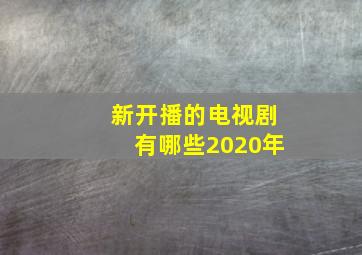 新开播的电视剧有哪些2020年