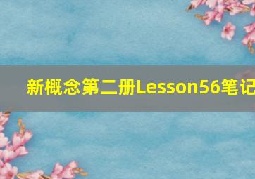 新概念第二册Lesson56笔记