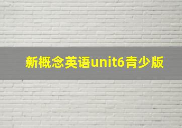 新概念英语unit6青少版