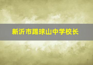 新沂市踢球山中学校长